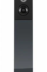 Audio Physic CODEX /Paar Stand-Lautsprecher Anthrazit